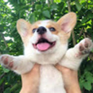 Meet your Posher, Alexandra